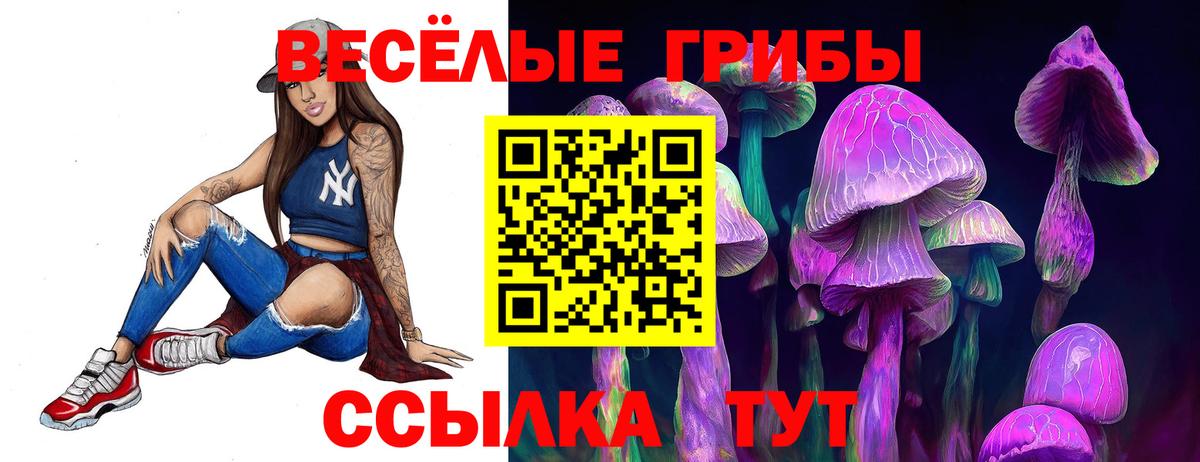 Киселёвск  Галлюциногенные грибы ЛСД  Вход с VPN  Галлюциногенные грибы GOLDEN TEACHER 