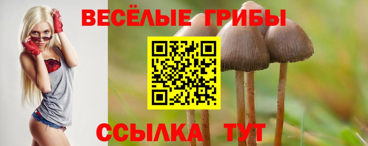 Псилоцибиновые грибы мухоморы Киселёвск